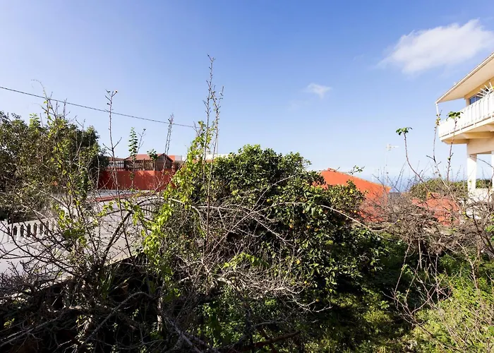 Acogedor Centrico. * 塔科龙特