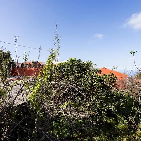 Acogedor Centrico. * Tacoronte